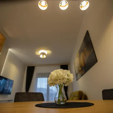 Mega Apartman *